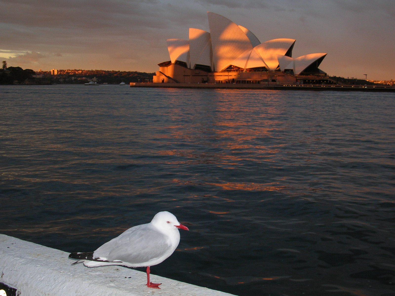 オペラハウスが世界遺産になったこと